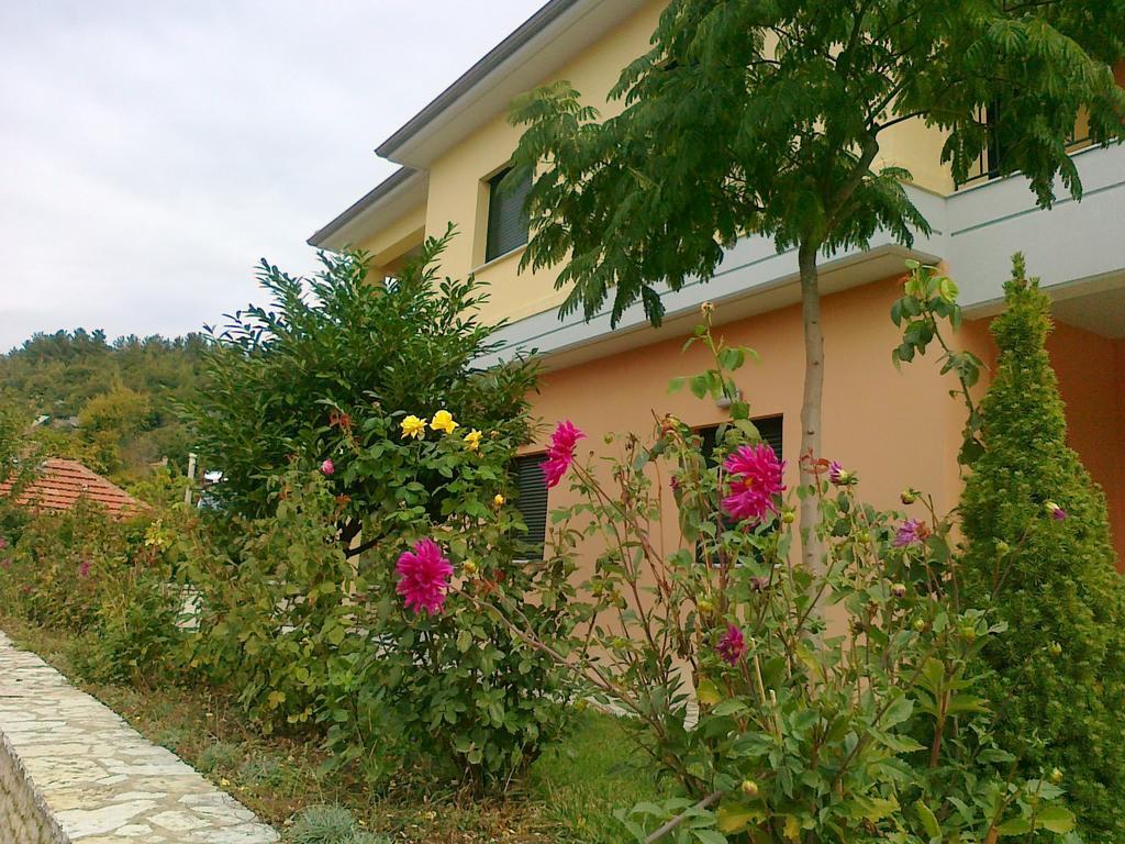 Anthoula
